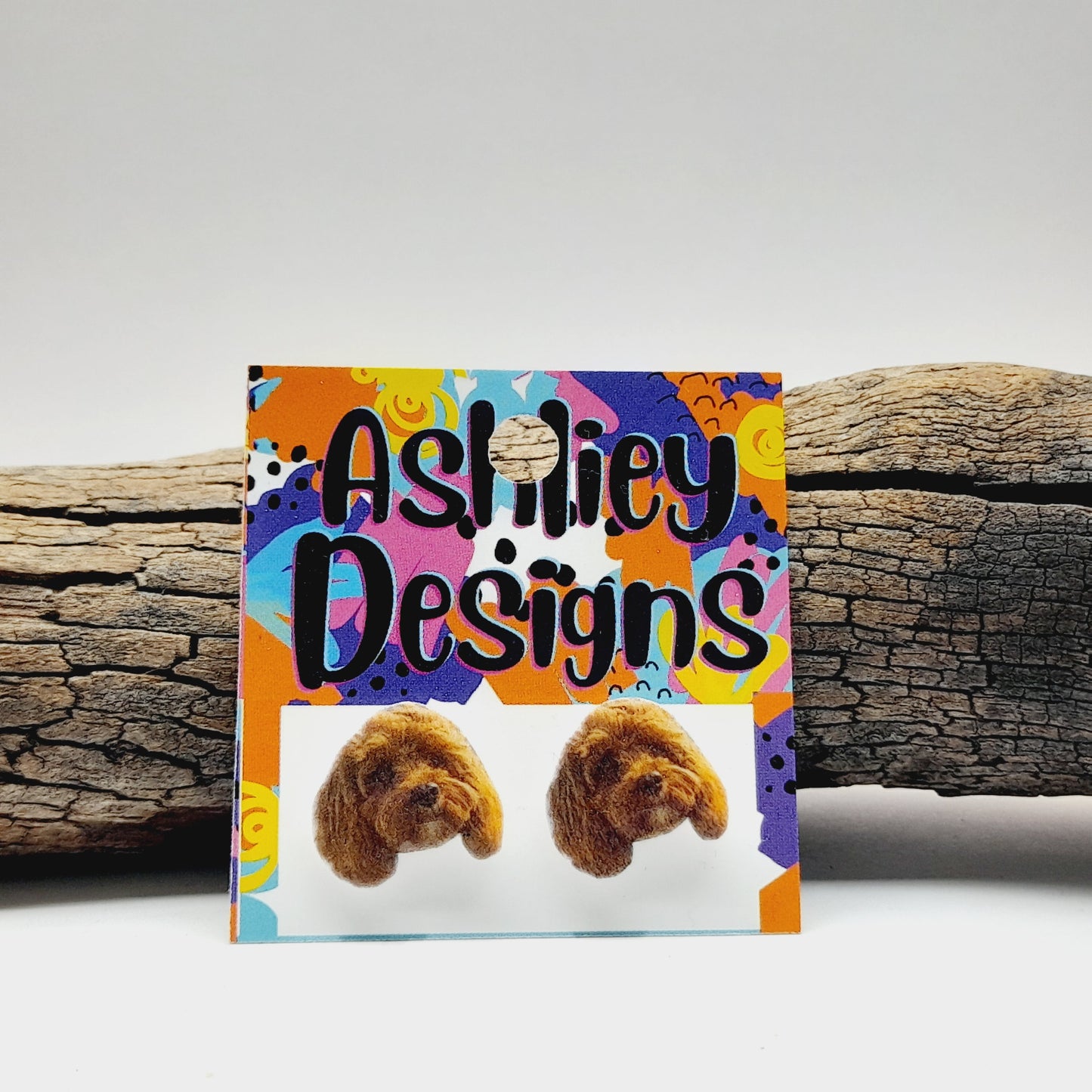 Cavoodle Studs
