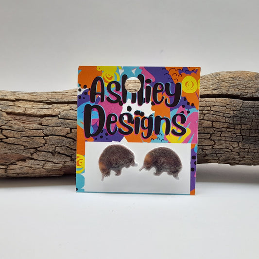 Echidna Studs