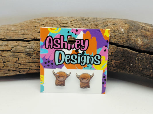 Highland Cow Studs