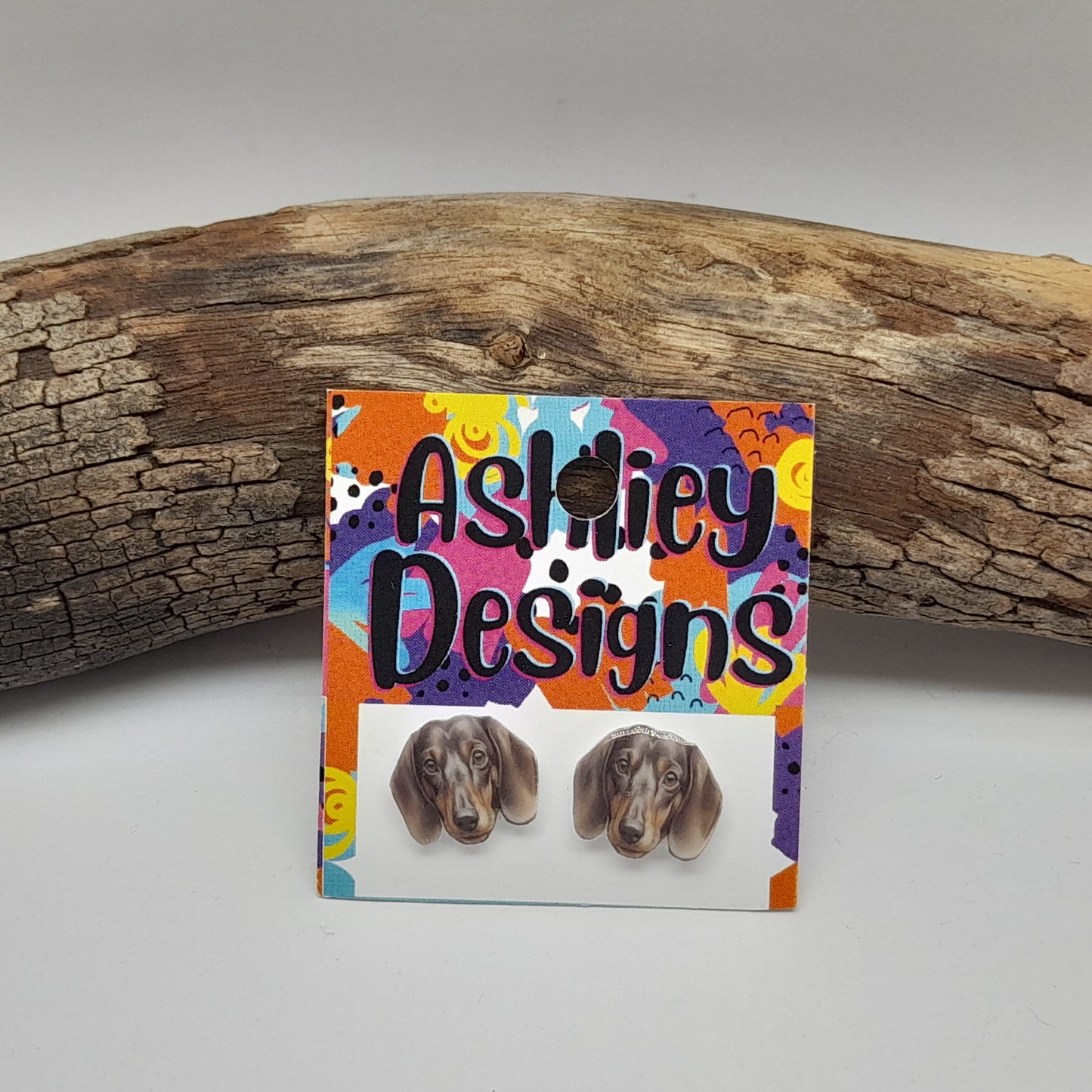Dachshund Studs